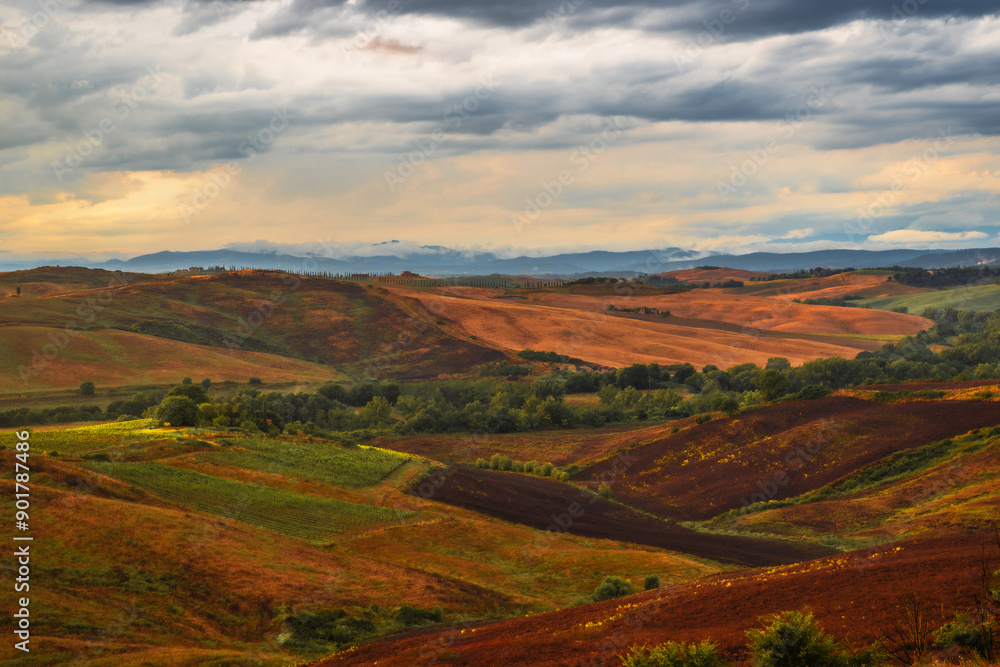 Serene Toscany Rolling Hills Under Dramatic Clouds at Dusk in a Rural Italian Landscape Serene Toscany Rolling Hills Under Dramatic Clouds at Dusk in a Rural Italian Landscape