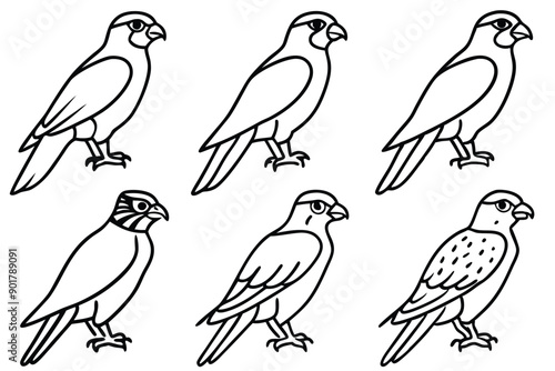 Falcon line art illustration Design Concepts