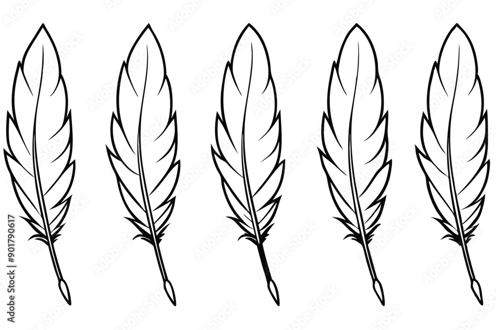 Feather line art illustration Design Concepts Feather line art illustration Design Concepts