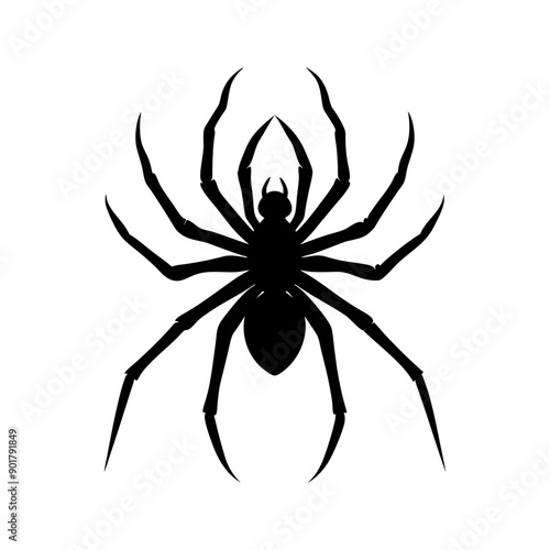 a black and white drawing of a spider