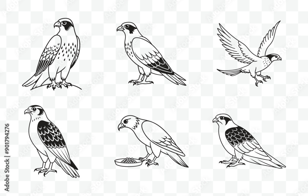 Print Goshawk Line Art Vector Set Detailed and Elegant Designs for Creative Projects and Artistic Endeavors Print Goshawk Line Art Vector Set Detailed and Elegant Designs for Creative Projects and Artistic Endeavors