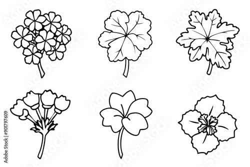 Geranium line art illustration Design Concepts