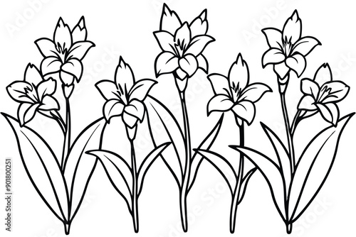 Gladiolus line art illustration Design Concepts