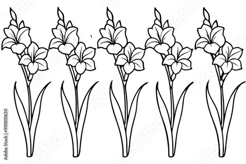 Gladiolus line art illustration Design Concepts