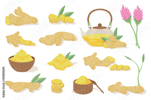 Ginger product mega set elements in flat cartoon graphic design. Bundle objects of raw roots, slices, spicy tea in teapot, powder in wooden bowl, sprout, leaves, flower, other. Vector illustration.