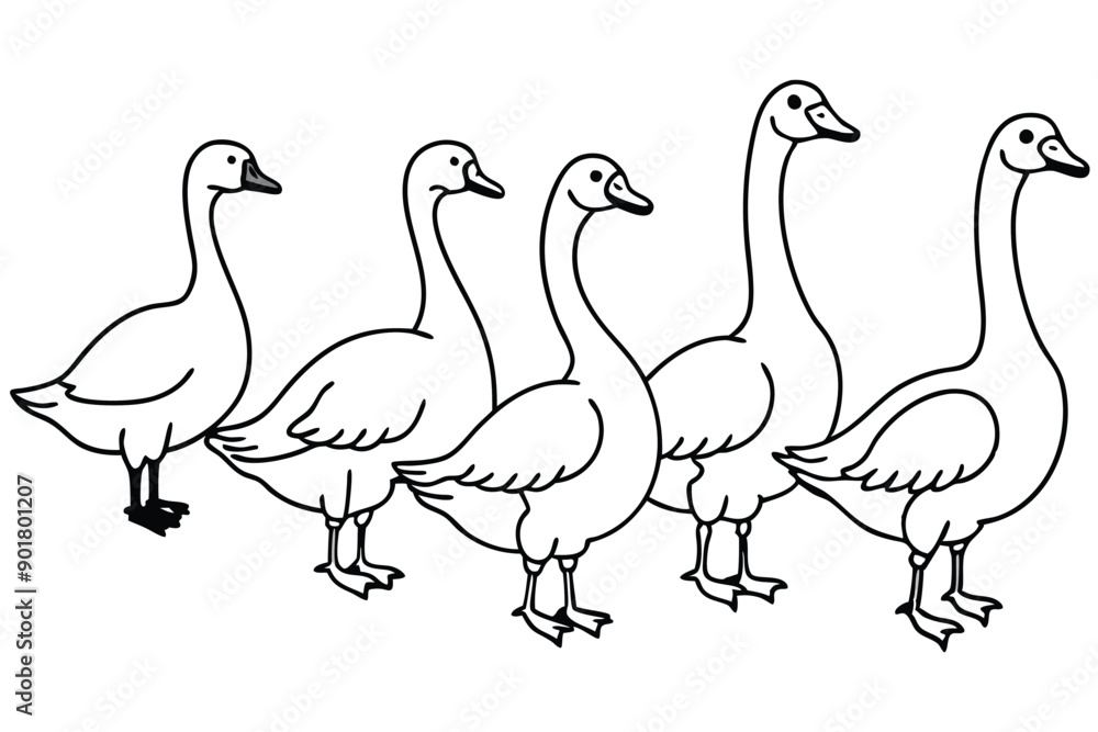Fototapeta premium Goose line art illustration Design