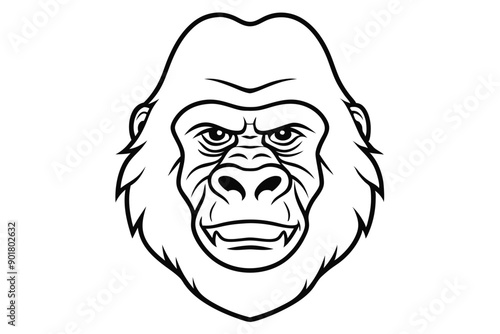 Gorilla head line art illustration