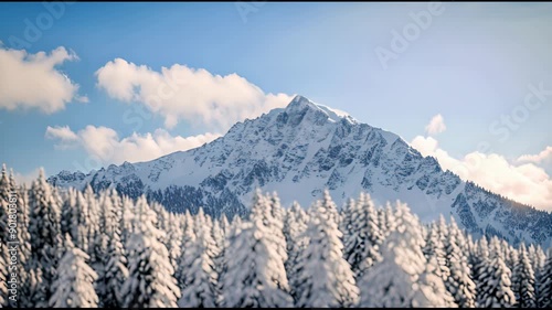 Snow-Covered Mountain Peaks and Frosted Pines in the Winter Sunlight