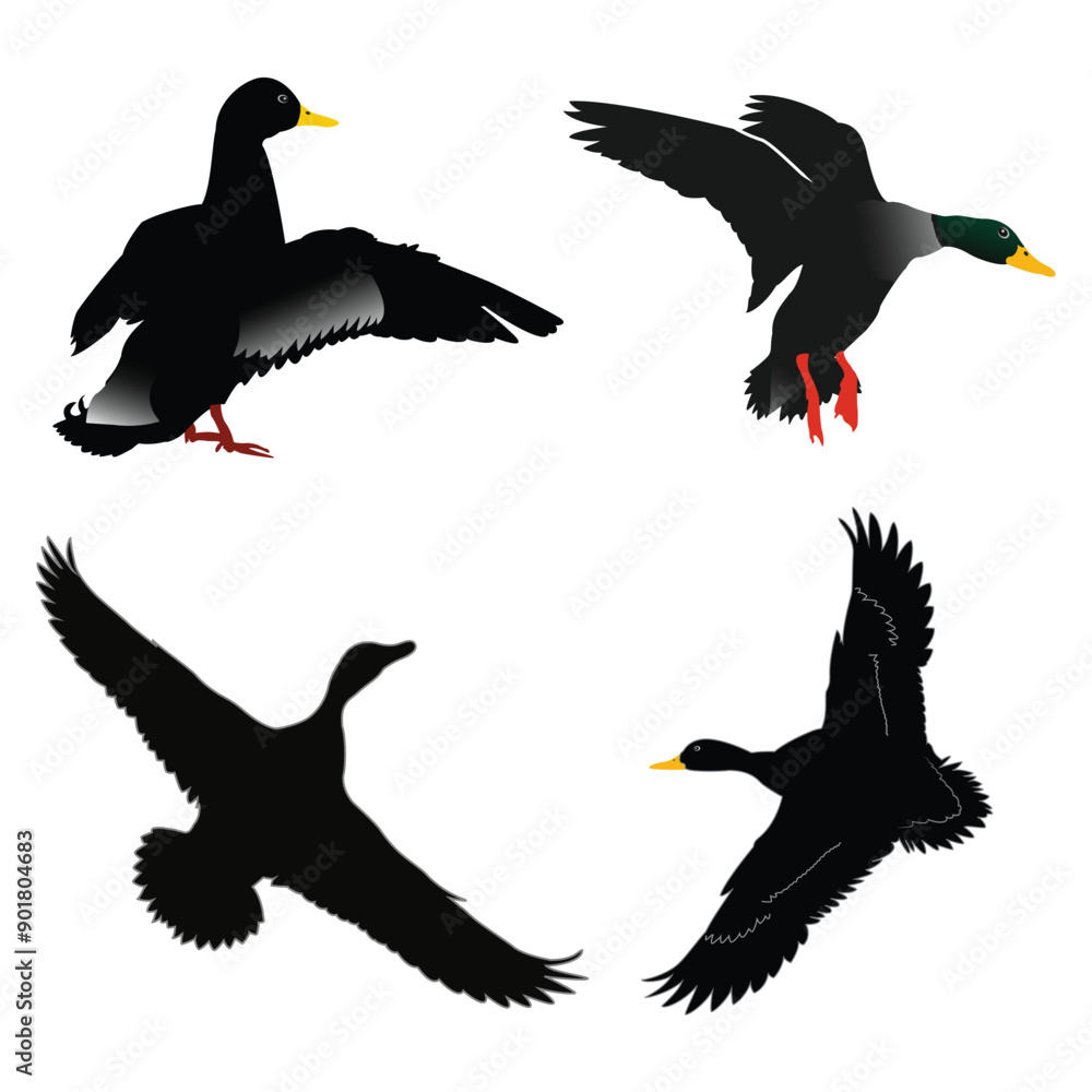Fototapeta premium A group of ducks are flying in the open sky
