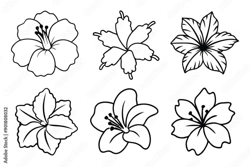 Obraz premium Hibiscus line art illustration Design Concepts