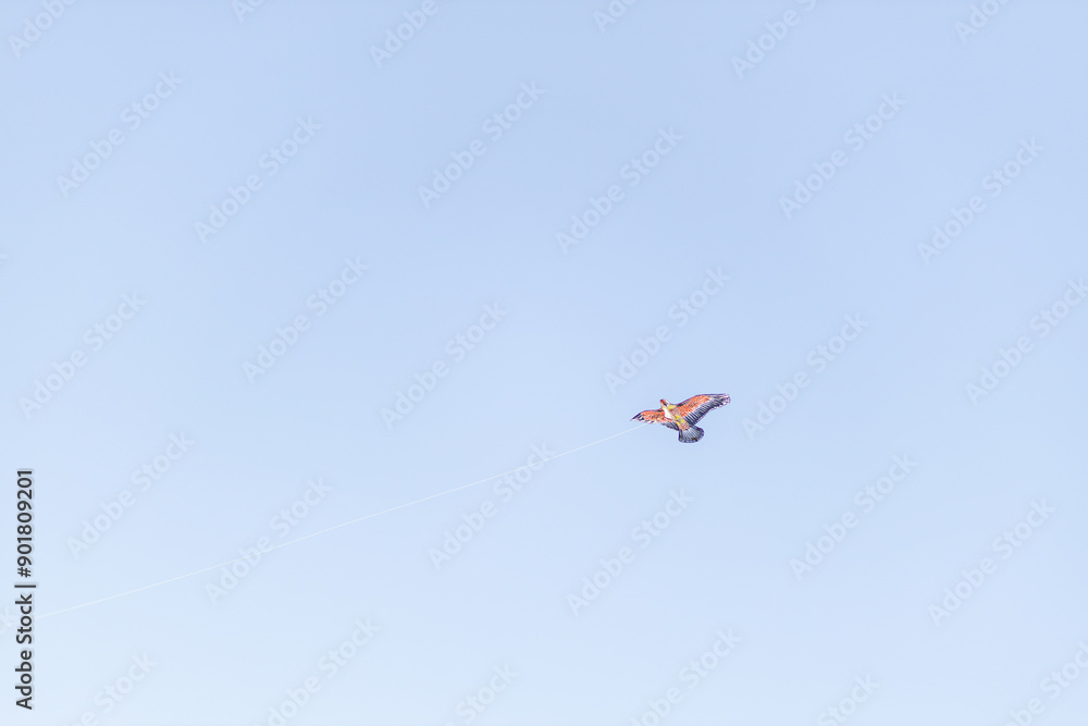 하늘에 떠 있는 독수리 연 