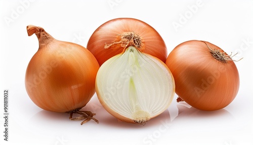 Wallpaper Mural onion on a white background Torontodigital.ca