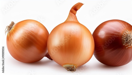 Wallpaper Mural onion isolated on white background Torontodigital.ca