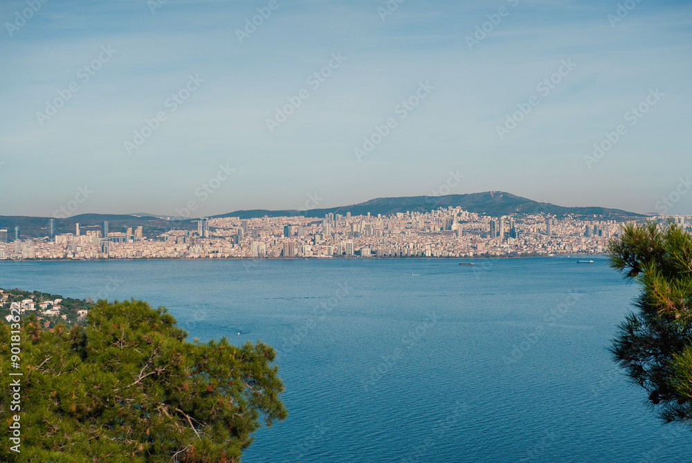 View of Istanbul skyline from Buyukada Island, with the sea and greenery in the foreground, under a blue sky View of Istanbul skyline from Buyukada Island, with the sea and greenery in the foreground, under a blue sky