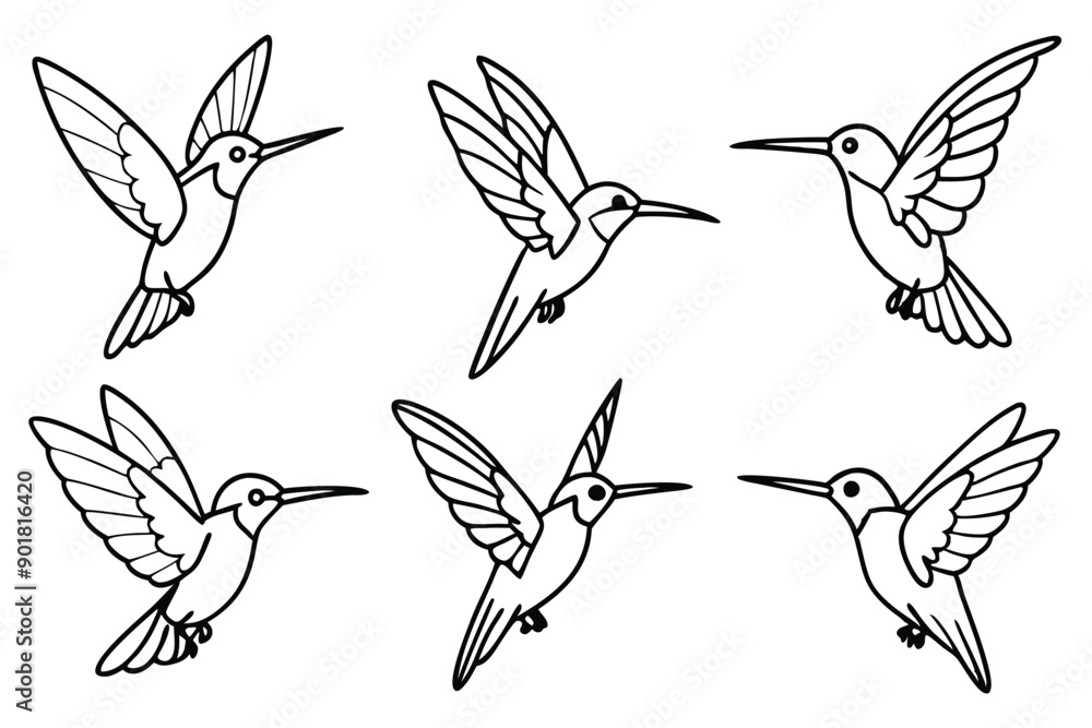 Obraz premium Hummingbird line art illustration Design Concepts