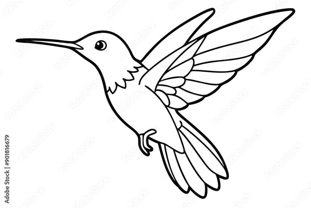 Obraz premium Hummingbird line art illustration Design Concepts
