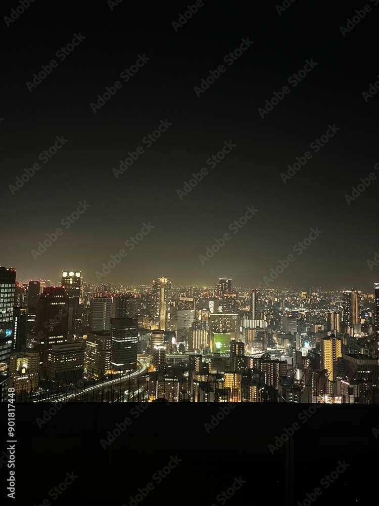 Obraz premium 大阪夜景