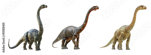 Three Realistic Dinosaur Figures with Long Necks in Various Shades and Textures Isolated on a Transparent Background