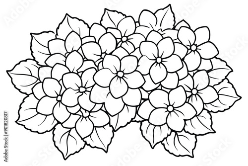 Hydrangea line art illustration Design Concepts