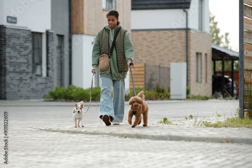 Long shot of teenage dog sitter in casual attire walking down sidewalk with two purebred pets pulling leashes during stroll with girl