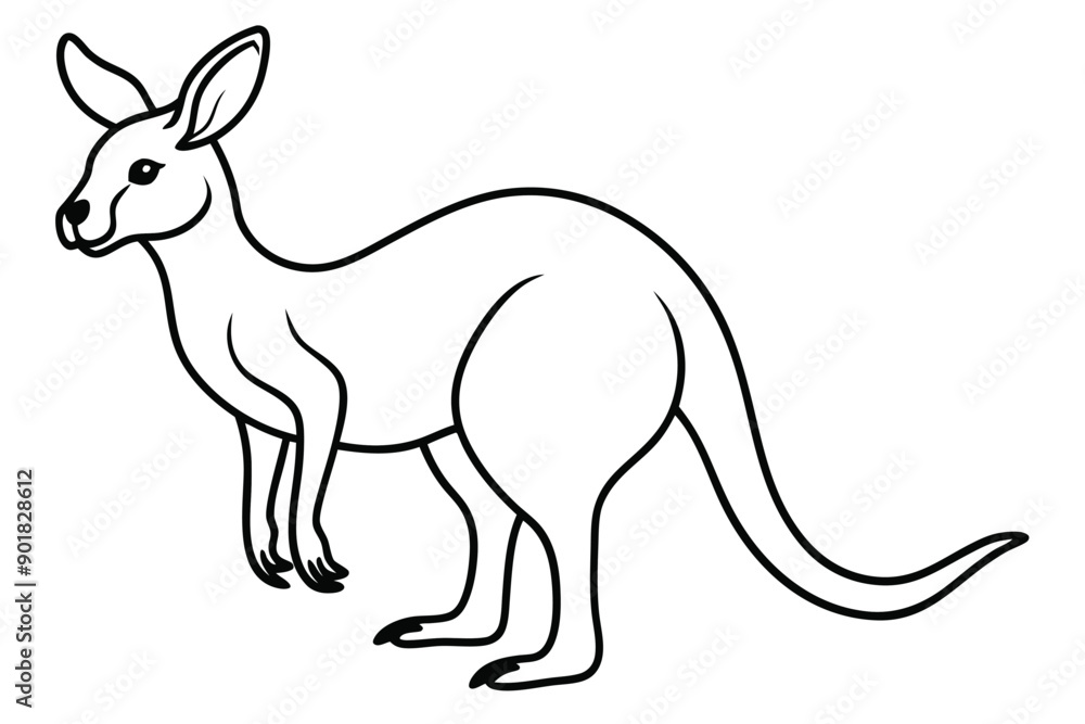 Kangaroo line art illustration Design Concepts Kangaroo line art illustration Design Concepts