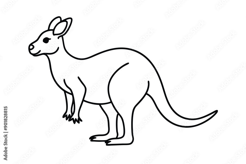 Fototapeta premium Kangaroo line art illustration Design Concepts