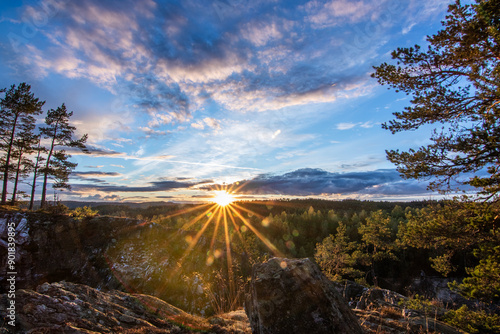 Landscape shot in a pine forest. View from a rock overlooking the trees. romantic sunset on the horizon in the evening in Amal, Sweden, photo