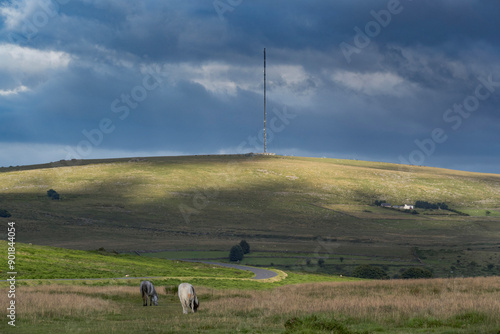 Radio mast at Princetown Dartmoor photo