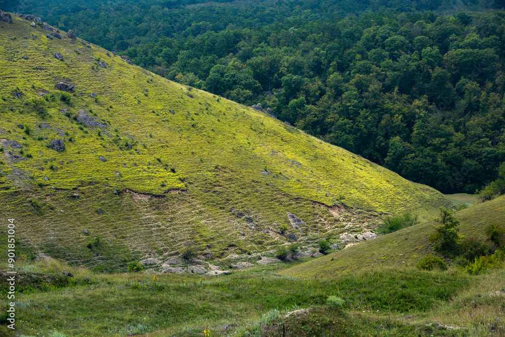 Obraz premium landscape and beautiful green nature in the Republic of Moldova, a small friendly country in Eastern Europe.
