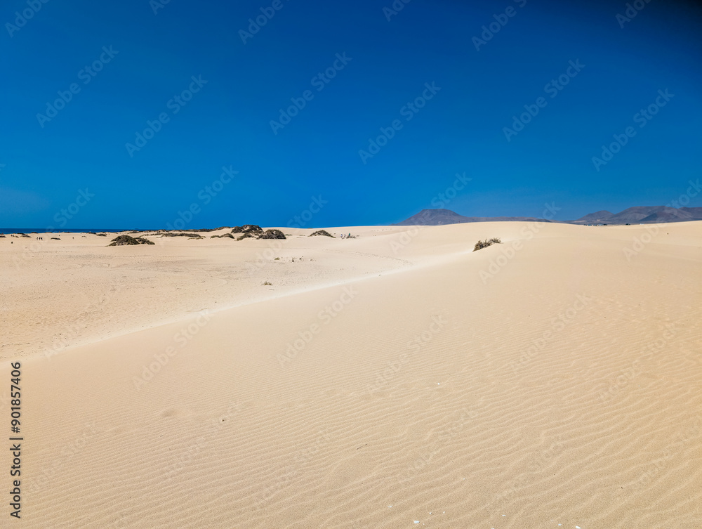 Aerial view of Dunas de Corralejo beach in Fuerteventura, Canary Island Aerial view of Dunas de Corralejo beach in Fuerteventura, Canary Island