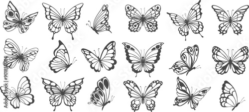 Silhouettes of butterflies