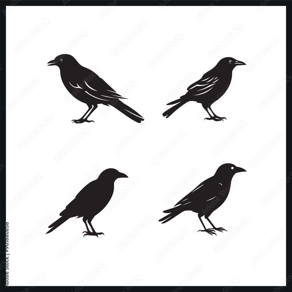 black crow bird vector illustration silhouette set black crow bird vector illustration silhouette set