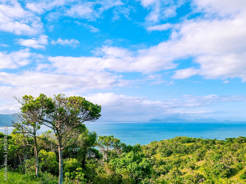 Obraz premium landscape with trees and clouds