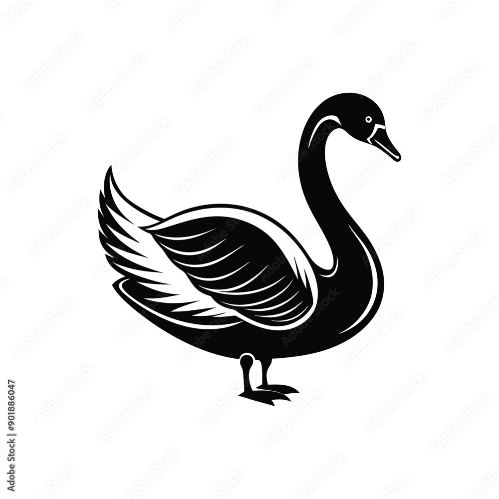 Berwick swan silhouette vector art illustrator isolated on white background Berwick swan silhouette vector art illustrator isolated on white background