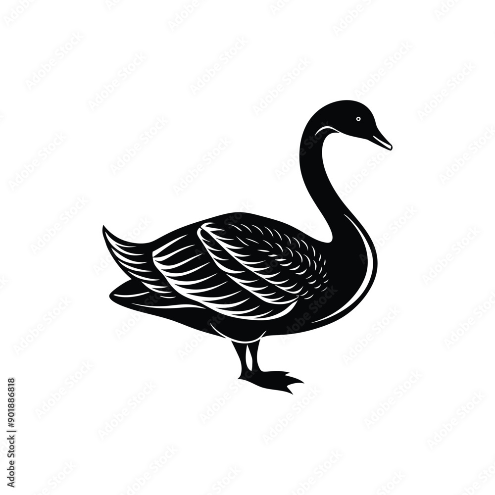 Berwick swan silhouette vector art illustrator isolated on white background Berwick swan silhouette vector art illustrator isolated on white background