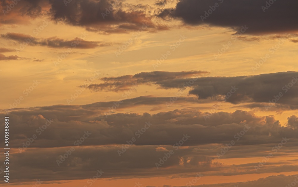 Fototapeta premium sunset in the clouds