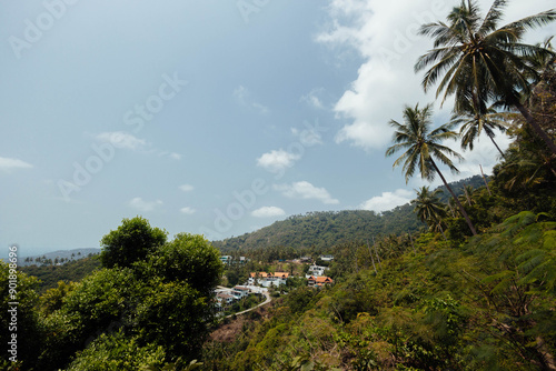 A view of a lush tropical hillside with palm trees in front, white houses in the distance, under a bright blue sky with fluffy clouds © angel_nt