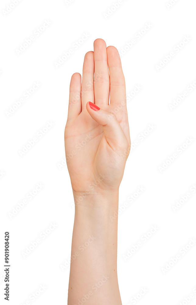 Four fingers up, hand gesture for counting. Showing the number 4, symbol of the fourth digit. Isolated on white background, closeup of a woman’s hand with elegant red manicure. Four fingers up, hand gesture for counting. Showing the number 4, symbol of the fourth digit. Isolated on white background, closeup of a woman’s hand with elegant red manicure.