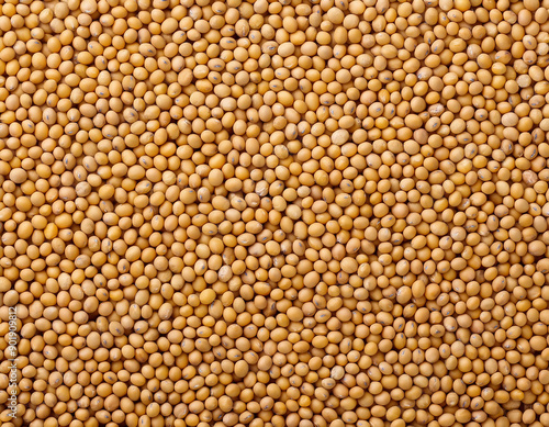 Background of Soybeans Texture 