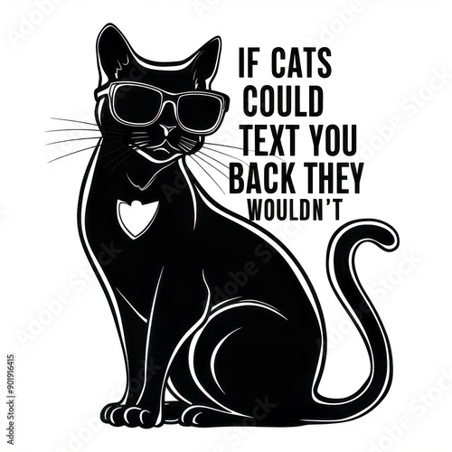 Fotografie Stylish Black Cat with Sunglasses and Heart Patch and Humorous Text