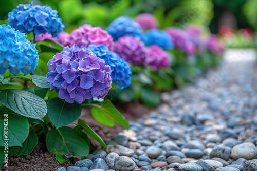 A row of blue and purple flowers are planted in a garden photo