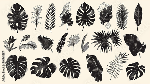 Set of tropical leaves and silhouettes on a beige background, handmade drawing 