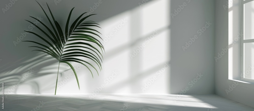 Minimalist room display with palm leaf shadow. Minimalist room display with palm leaf shadow.