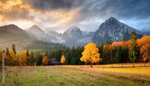 Fototapeta Naklejka Na Ścianę i Meble -  Beautiful autumn evening on a pasture under rocky mountains with a wild forest, a beautiful yellow tree in the middle of a meadow and a colorful dramatic sky. High tatras NP, Poland, Slovakia