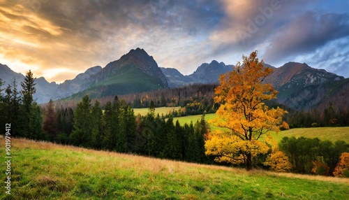 Fototapeta Naklejka Na Ścianę i Meble -  Beautiful autumn evening on a pasture under rocky mountains with a wild forest, a beautiful yellow tree in the middle of a meadow and a colorful dramatic sky. High tatras NP, Poland, Slovakia
