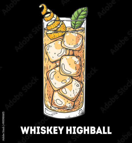 Whiskey highball cocktail illustration. Hand drawn sketch. Vector illustration. Isolated object.