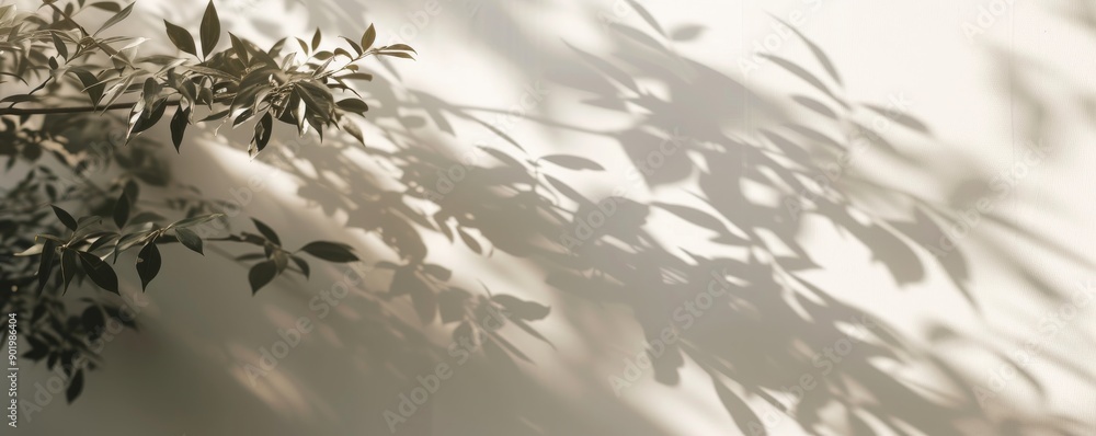 Shadows of leaves on a cream wall, minimalist nature concept Shadows of leaves on a cream wall, minimalist nature concept