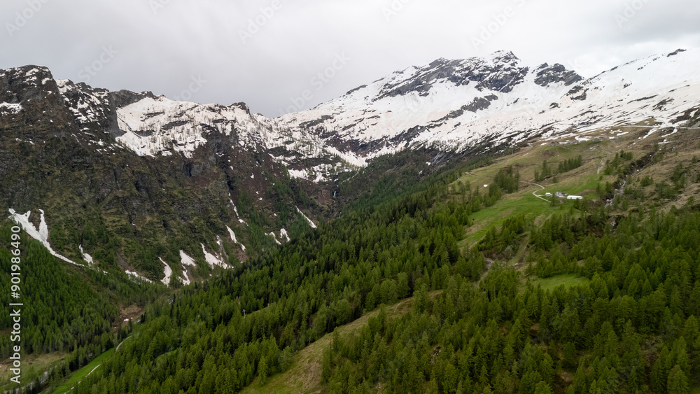Fototapeta premium Majestic Snow-Capped Mountains Overlooking Lush Green Forests During Early Spring in the Alpine Region