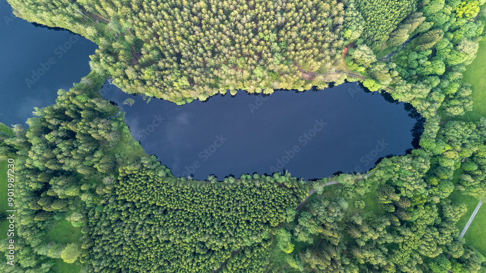 Aerial View of Serene Forest and Lake Landscape in Early Morning Light Aerial View of Serene Forest and Lake Landscape in Early Morning Light