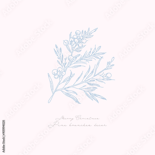 Abstract botanical illustrations of pine tree and fir tree Christmas decor